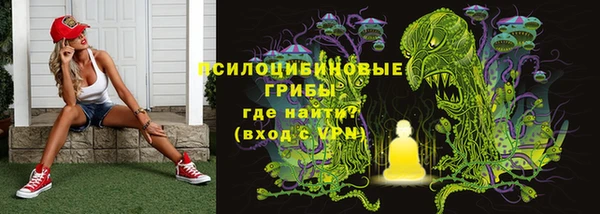 тгк Алексин