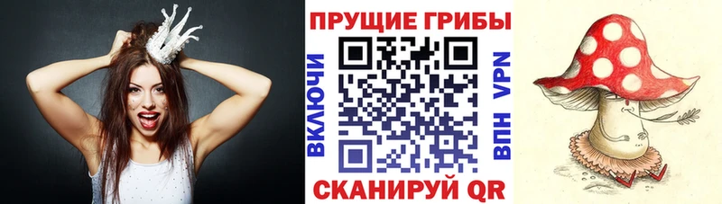 Галлюциногенные грибы ЛСД  Заволжье 